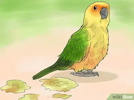 Image titled Treat Chlamydiosis in Conures Step 8