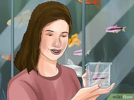 Image titled Buy a Fish for a Child Step 11