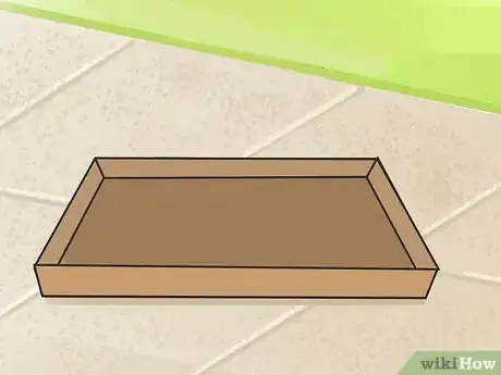 Image titled Propagate Succulents (Without Rooting Hormone) Step 2