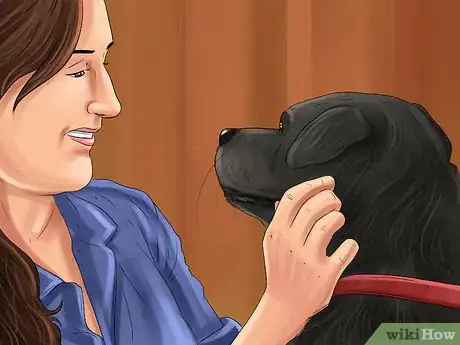 Image titled Adopt a Sporting Dog Step 8