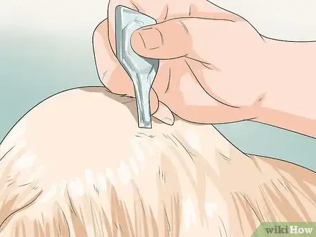 Image titled Care for Shihpoos Step 14