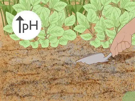 Image titled Use Horticultural Charcoal Step 11