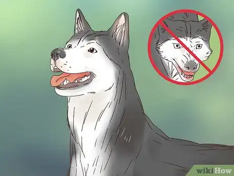 Image titled Register an Animal Step 4