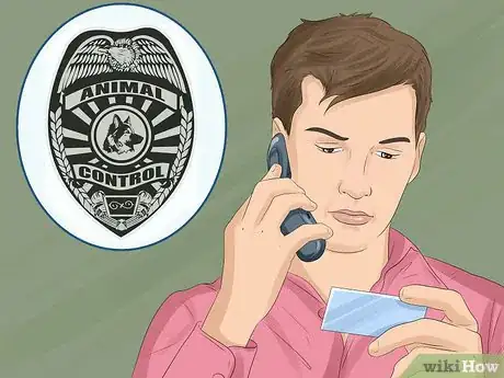 Image titled Keep Your Pets Safe in Winter Step 24