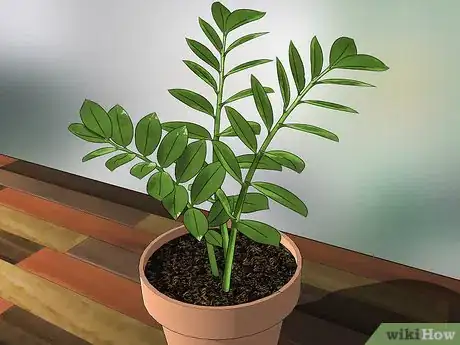 Image titled Choose Low‐Maintenance Houseplants Step 12