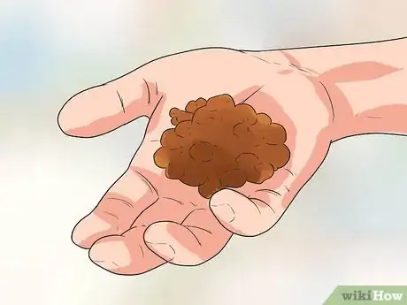 Image titled Train Your Dog to Not Run Away Step 2