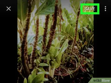 Image titled Edit Google Photos on Android Step 13