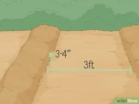 Image titled Plant Cotton Seeds Step 7