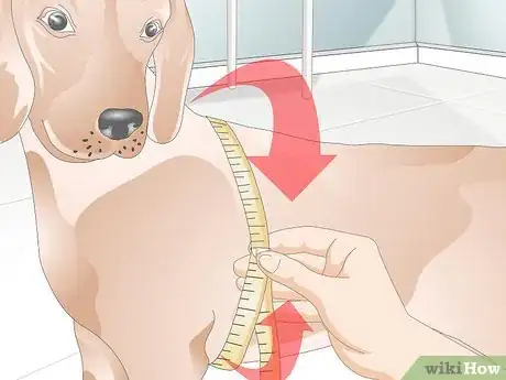 Image titled Choose the Right Harness for Your Dog Step 8