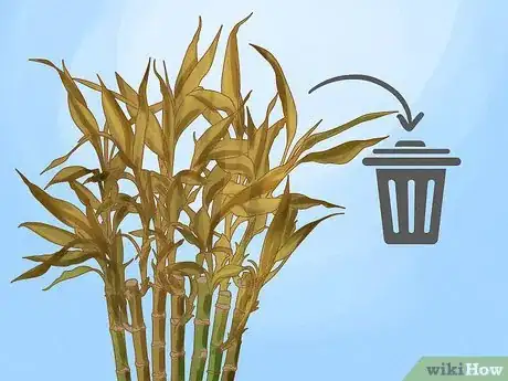 Image titled Trim Lucky Bamboo Plants Step 6