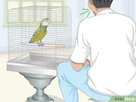 Image titled Deal with a Fearful or Stressed Senegal Parrot Step 7