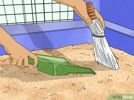 Image titled Keep Your Guinea Pigs Healthy Step 15