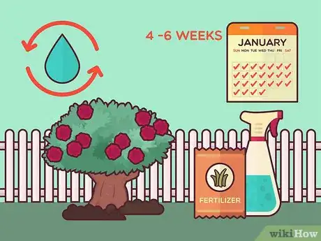 Image titled Save a Dying Rose Bush Step 14