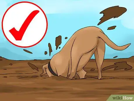 Image titled Care for an American Pit Bull Terrier Step 3