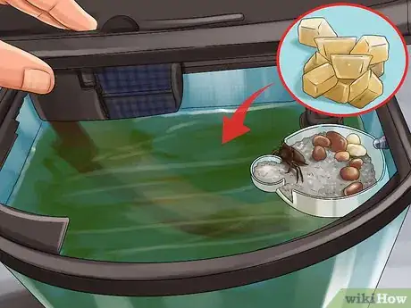 Image titled Make Fiddler Crab Food Step 10