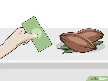 Image titled Grow Chocolate Indoors Step 1