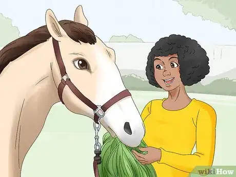 Image titled Become an Equine Physiotherapist Step 7