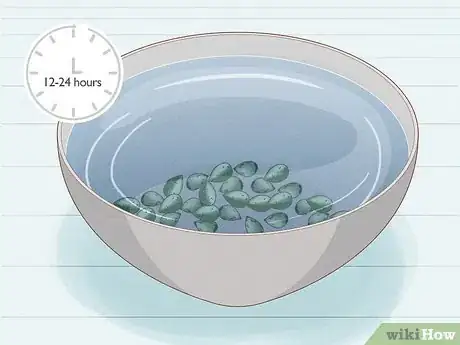 Image titled Grow Royal Gorilla Step 2