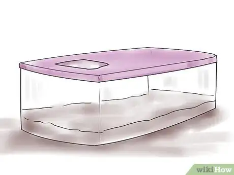 Image titled Breed Leopard Geckos Step 3