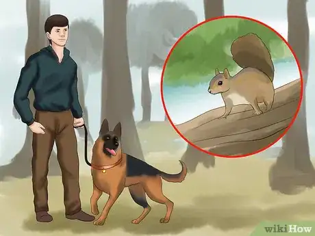 Image titled Walk a Dog in the Woods Step 1