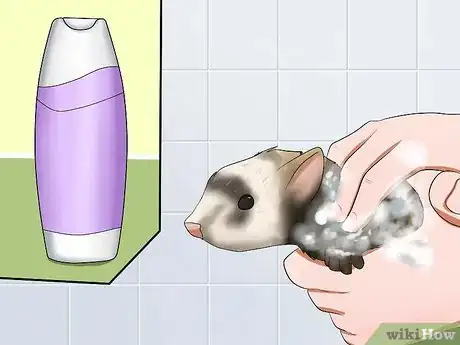 Image titled Keep Your Ferret's Hair Healthy Step 7