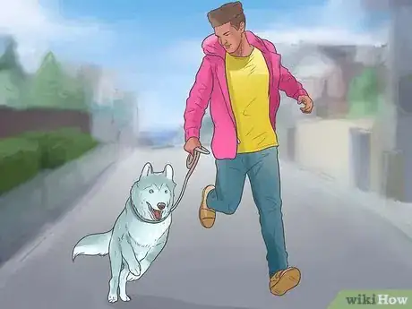 Image titled Take Care of an Alaskan Husky Step 1