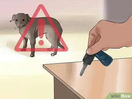 Image titled End Dog Separation Anxiety With Desensitization Step 2