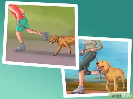 Image titled Give Your Large Dog Enough Exercise Step 7