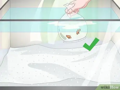 Image titled Reduce Saltwater Reef Aquarium Maintenance Step 2