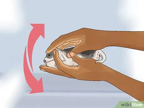 Image titled Whelp and Raise a Single Puppy Step 8