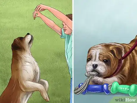 Image titled Keep Your Dog Under Control Outside Step 9