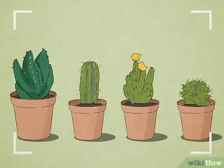 Image titled Take Still Life Photography Step 2