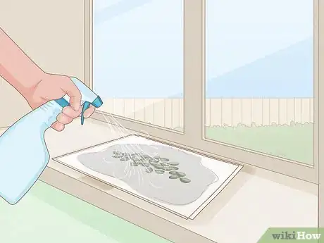 Image titled Grow Royal Gorilla Step 4