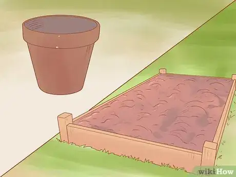 Image titled Grow Roma Tomatoes Step 2