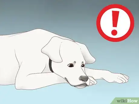 Image titled Treat Depression in Dogs Step 9