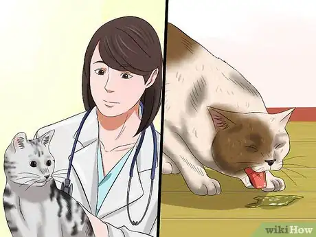 Image titled Protect Your Cat from Holiday Hazards Step 5