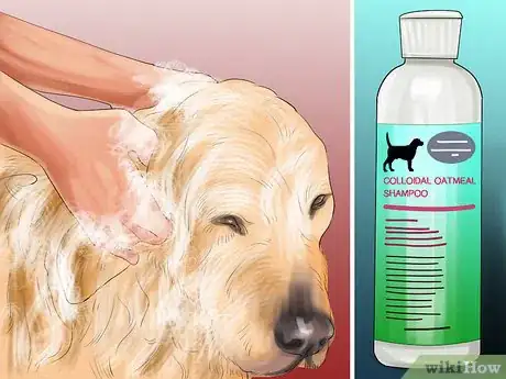 Image titled Help an Itching Dog Step 10