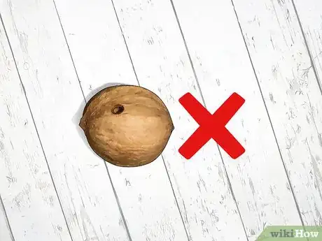 Image titled Identify Hickory Nuts Step 16