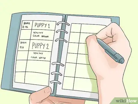 Image titled Whelp Large Breed Dogs Step 11