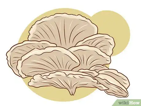 Image titled Grow Edible Mushrooms Step 5