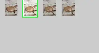 Access Archive Photos on iOS Devices