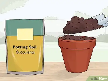 Image titled Plant a Christmas Cactus Step 5