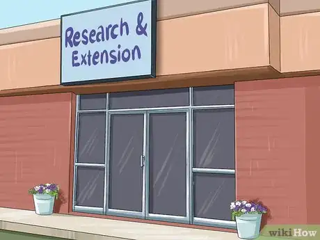 Image titled Grow Ivy Step 1