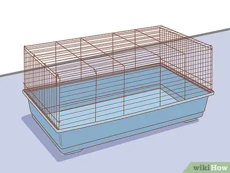 Image titled Get Your Guinea Pig to Popcorn Step 5