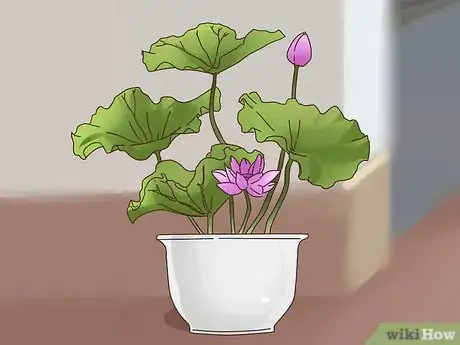 Image titled Choose Plants for Good Feng Shui Step 9