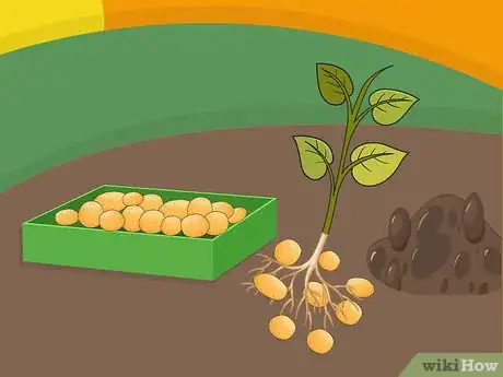 Image titled Grow Potatoes in a Wire Cage Step 15