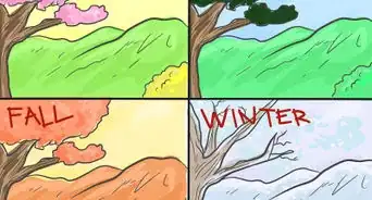 Read a Balance Sheet