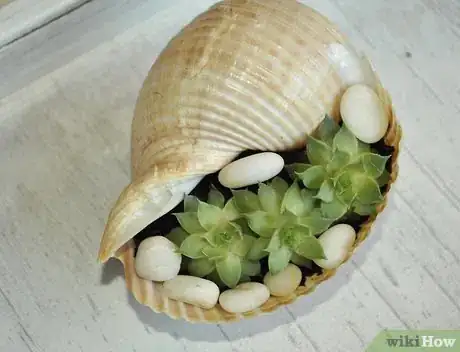 Image titled Make a Seashell Planter Step 10