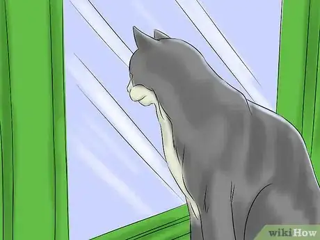 Image titled Help a Cat with Epileptic Seizures Step 10