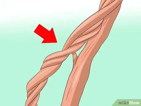 Image titled Prune Burning Bush Step 3